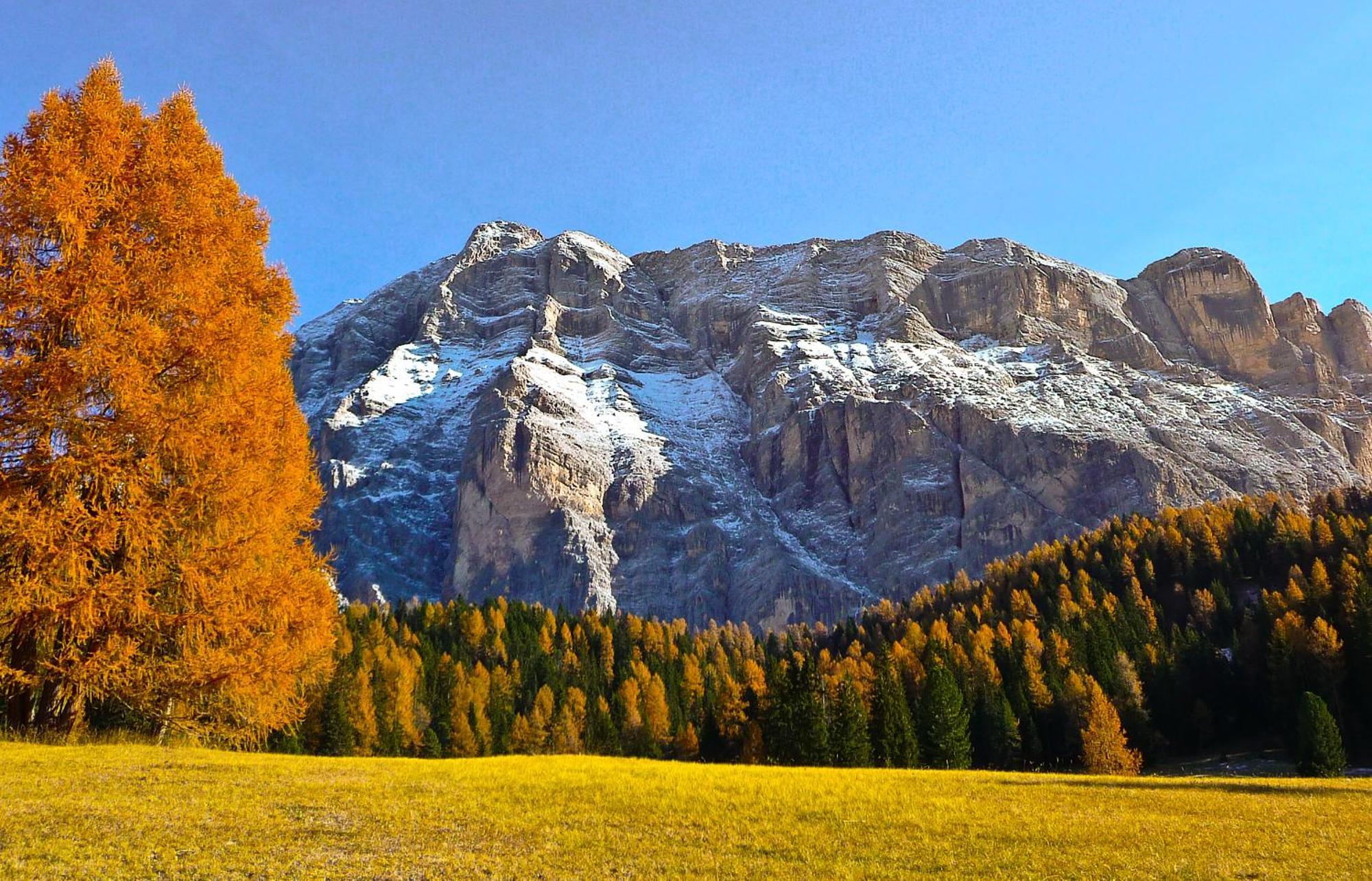 Apartment Ciasa Laoi San Cassiano  Bagian luar foto