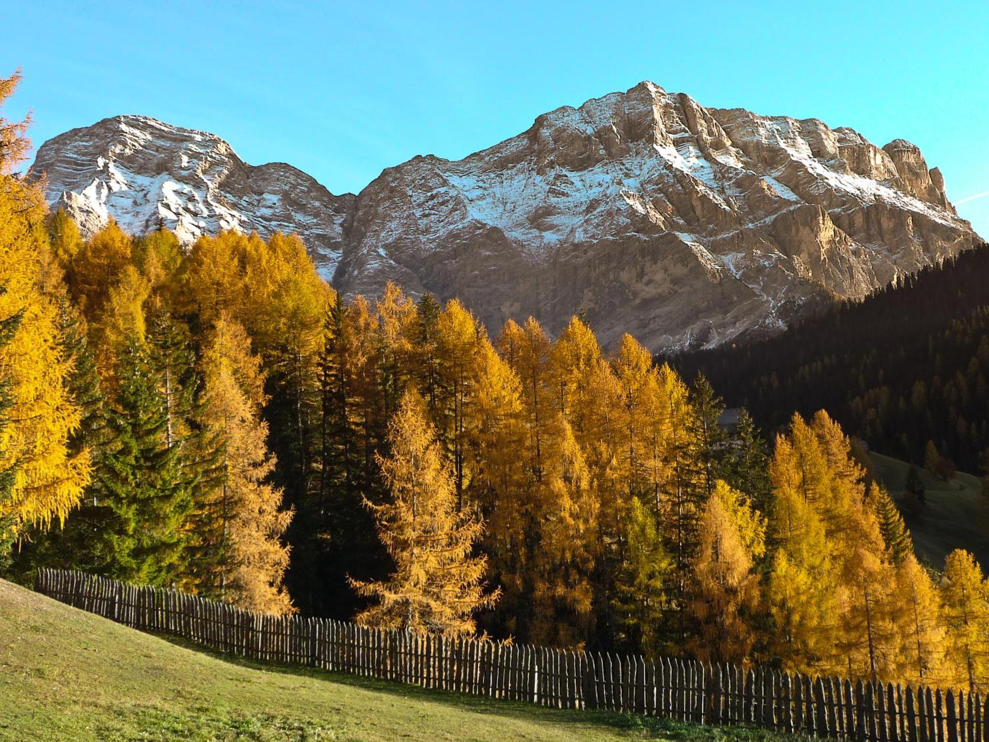 Apartment Ciasa Laoi San Cassiano  Bagian luar foto